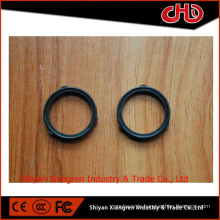 NT855 Rectangular Ring Seal 3024709